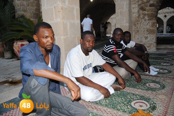 mahmoduia 3eed 808 (113).JPG